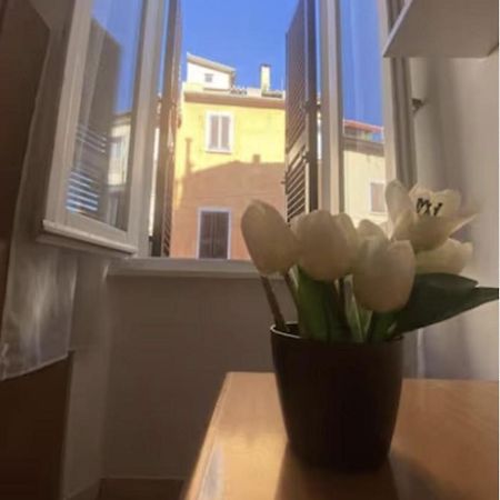 Casa Rella - Camera Green 博洛尼亚 外观 照片